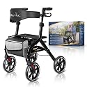 BigAlex Rollator Walker with Seat for Seniors, Foldable, 10" Wheels, Black