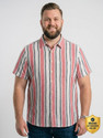 bigbanana Men Striped Casual Multicolor Shirt