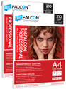BIGFALCON Professional 210 GSM A4 (8.5X11 Inch) 40 Sheet High Glossy Cast Coated Photo Paper for all Inkjet Printer A4 (210x297mm) 210 gsm Photo Paper