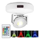 BIGMONAT Battery Operated Spotlight, Wireless LED Accent Lighting for Wall Picture Painting, Color Changing Up Light with Remote and Timer for Artwork Dartboard Plant Tree, Brightness Dimmable