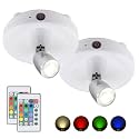 BIGMONAT LED Spotlight for Pictures Battery Operated, Dimmable Uplight with Remote and Timer for Art Painting, Color Changing Accent Lighing for Tree Plant Dart Board, 2Pack