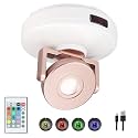 BIGMONAT Wireless LED Spotlight Battery Powered, Dimmable Accent Lighting for Picture Artwork, Rechargeable Color Changing Up Light for Painting Tree Plant Dartboard with Remote and Timer