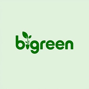 bigreen live hybrid plumeria plant  well-rooted pink champa flowering plant with pot for home amp garden