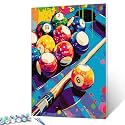 Billiards Ball and Club Paint by Numbers Kits for Adults Beginner Graffitic Pop Art Oil Paintwork Snooker Digital Pictures 16"W x 20"H inch Home Modern Decor Nordics Gift Art Craft (Frameless)