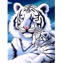 Bimkole 5D Diamond Art Kits for Adults White Tiger Hug, Full Drill DIY Rhinestone Embroidery Set Paint with Diamonds Art Animal by Number Kits Cross Stitch Home Wall Decor 12x16 in