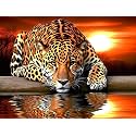 Bimkole 5D Diamond Painting Kits Leopard Tiger, Full Drill Animal Sunset DIY Rhinestone Embroidery Set Paint with Diamonds Art by Number Kits Cross Stitch Home Wall Craft Decoration 12X16 inch