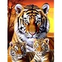 Bimkole 5D Diamond Painting Kits Three Tigers, Full Drill Animal DIY Rhinestone Embroidery Set Paint with Diamonds Art by Number Kits Cross Stitch Home Wall Craft Decoration 12X16 inch