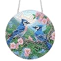 Bimkole Bird Hanging Diamond Pearl Art Kits for Adults Pendant C30