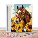 Bimkole Framed Paint by Numbers Kit for Adults Sunflower Horse, DIY Oil Painting Kit on Canvas with Paintbrushes and Acrylic Pigment for Beginner, for Home Wall Decor 8x12inch/20x30 cm