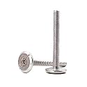 1/4"-20 x 2 Inches Hurricane Bolts Combo Sidewalk Bolts Screws, 25-Pack, 304 Stainless Steel