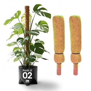 bio blooms agro india pvt ltd coco pole - coir moss stick  plant creepers support  brown  2 feet  2 pieces  indoor and outdoor uses 