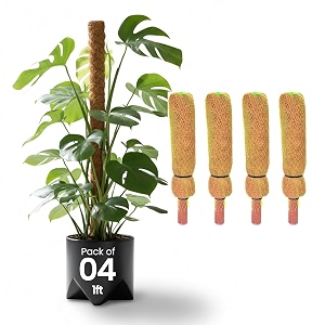 bio blooms agro india pvt ltd coco pole - coir moss stick  plant creepers support  brown  1 feet  4 pieces  indoor and outdoor uses 