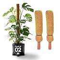 Bio Blooms Agro India Pvt. Ltd. Coco Pole - Coir Moss Stick | Plant Creepers Support | Brown | 2 feet | 2 Pieces | Indoor and Outdoor Uses |