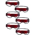 bio clear Wrap Around Eye Safety Goggles Full Cover with Lastic Wrap for chemistry labs, dust protection, Splash protection,Wood-working, Grinding and for Laboratory(BSL-1) (6)