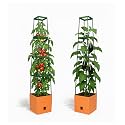 BioGreen 2 Pack Garden Tomato Planter MAXITOM, with Plant Support Trellis 59 inch and Self Watering, 4,2 Gal Planter Box for Climbing Vegetables Plants, Terracotta