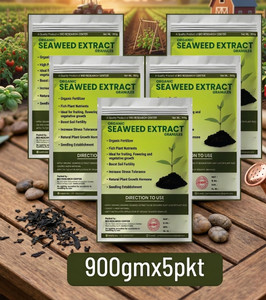 bio research center seaweed extract granules organic manure  improves plant growth root strength organic fertilizer