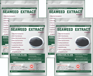 Bio Research Center Seaweed Extract Powder