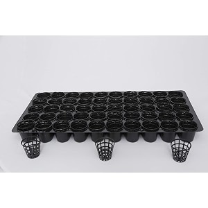 bio blooms agro india pvt ltd plastic seed germination tray with netted pots  50 cavity  black  10 pieces 