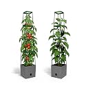 Bio Green 2 Pack Garden Tomato Planter MAXITOM, with Plant Support Trellis 59 inch and Self Watering, 4,2 Gal Planter Box for Climbing Vegetables Plants, Gray