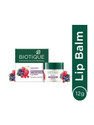 BIOTIQUE Bio Berry Pllumping Lip Balm Berry