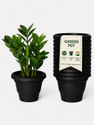 Bioworth Garden pot 12 inch 