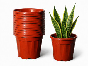 Bioworth Growing pot 12 inch