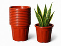 Bioworth Growing pot 12 inch 