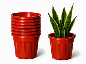 Bioworth Growing pot 12 inch