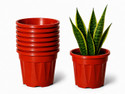 Bioworth Growing pot 12 inch 