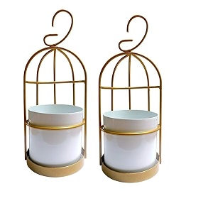 Bird cage-Inspired Metal Hanging Planter with Leakproof