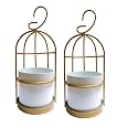 Bird cage-Inspired Metal Hanging Planter with Leakproof
