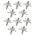 Bird Cage Screws, Bird Perch Screws, Nuts and Make Bird Perches, Stand Platform Accessories for Fixing Pet Cage, Playground Perch, Food Feeder (30, 3cm(1.18inch))