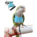 Bird Flight Harness Vest, Parrot Flight Suit with Leash for Parakeets Cockatiels Conures Budgies, Bird Flying Clothes with Rope and Handle for Outdoor Activities Training, Anti Bite (L, Blue)