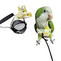 Bird Flight Harness Vest, Parrot Suit with Leash for Cockatiels Conures Budgies, Flying Clothes Rope and Handle Outdoor Activities Training