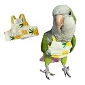 Bird Flight Harness Vest, Parrot Suit for Cockatiels Conures Budgies, Flying Clothes Rope and Handle Outdoor Activities Training