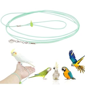 bird harnessparrot toyharness for birdsbird beltbird harness200cm parrot ring for leg parrot bird leash with feet loop amp adjustable buckle wrist attachable