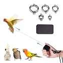Bird Leash, with 5 Different Size Foot Ring and Feeder Box, Retractable Anti-Bite Parrot Harness, Bird Flight Training Rope for Budgies,Cockatiels,Psittacula Longicauda,Mini Macaws (6.5Ft)