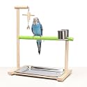 Bird Palyground, Parrot Playstand Natural Wood, Bird Perch Stand Gym with Feeder Cups and Removable Tray, Bird Cage Accessories for Parakeets Cockatiels Lovebirds