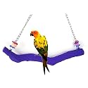 Bird Parrot Swing Perch Cage Hanging Toy Scrub Wood Stand for Conures,Parakeets Cockatiels,Macaws,Finches,Love Birds (M-9.8" in)