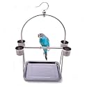 Bird Platform Playground Stainless Steel Perch Gym Stand with Food Bowls for Parrot Macaw African Grey Budgies Parakeet Conure Cage Exercise Toy (S)
