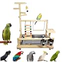 Bird Playground, Parrot playstand, Bird Play Stand, Parakeet Playground, Wood Perch Gym Playpen Ladder with Feeder Cups Toys Exercise Play