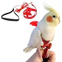 Birds Adjustable Harness and Leash, Parrot Outdoor Flying Training Traction Rope Straps with Cute Wing for Small Animal Birds, Parrots, Pigeons, Lizard, Turtles (M,Red)