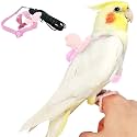 Birds Adjustable Harness and Leash, Parrot Outdoor Flying Training Traction Rope Straps with Cute Wing for Small Animal Birds, Parrots, Pigeons, Lizard, Turtles (L,Pink)