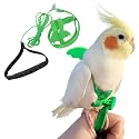 Birds Adjustable Harness and Leash, Parrot Outdoor Flying Training Traction Rope Straps with Cute Wing for Small Animal Birds, Parrots, Pigeons, Lizard, Turtles (S,Green)