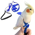 Birds Adjustable Harness and Leash, Parrot Outdoor Flying Training Traction Rope Straps with Cute Wing for Small Animal Birds, Parrots, Pigeons, Lizard, Turtles (L,Blue)