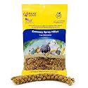 Birds LOVE Economy Spray Millet for Birds, 7 oz, GMO-Free Natural Millet Spray Treat, Stem-Reduced Edible Tops, Grown in USA, for Parakeets, Cockatiels, Lovebirds, Finches, Canaries & Small Parrots