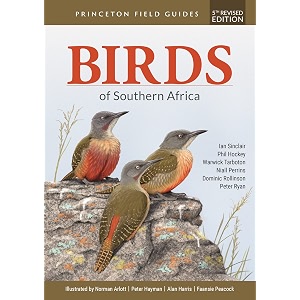 birds of southern africa
