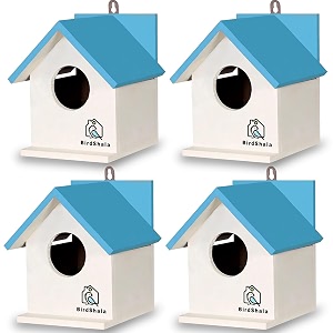 birdshala bird house for sparrow budgies amp finches with air ventilation and mounting hook- set of 4 blue medium