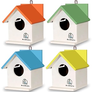 birdshala bird house for sparrow budgies amp finches with air ventilation and mounting hook multicolor medium