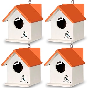 birdshala bird house for sparrow budgies amp finches with air ventilation and mounting hook orange - set of 4